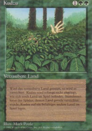 Kudzu