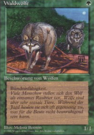 Timber Wolves