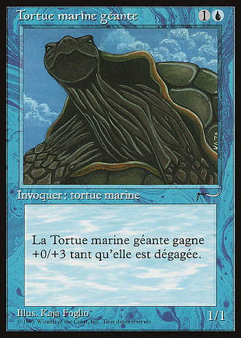 Giant Tortoise