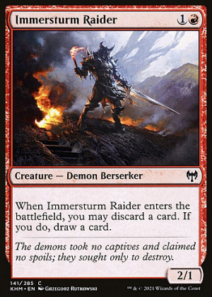 Immersturm Raider