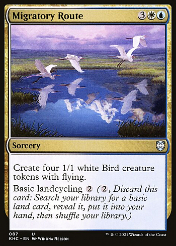Migratory Route