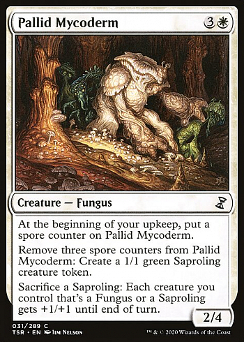 Pallid Mycoderm