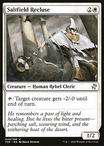 Saltfield Recluse