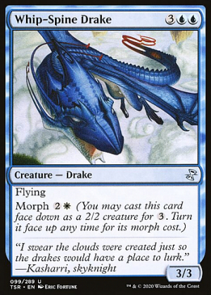 Whip-Spine Drake