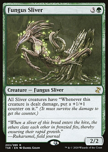 Fungus Sliver