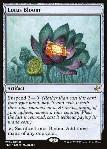 Lotus Bloom