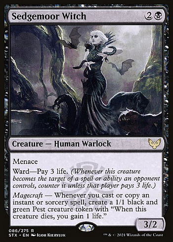 Sedgemoor Witch