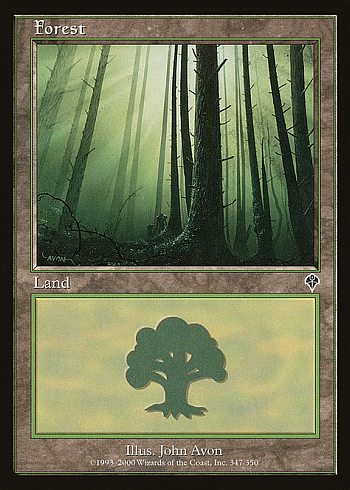 Forest