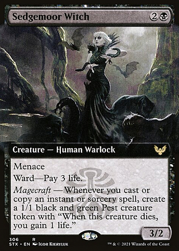 Sedgemoor Witch