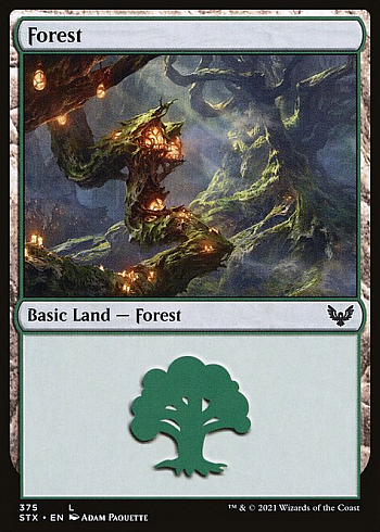 Forest