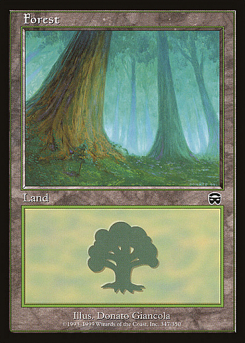 Forest