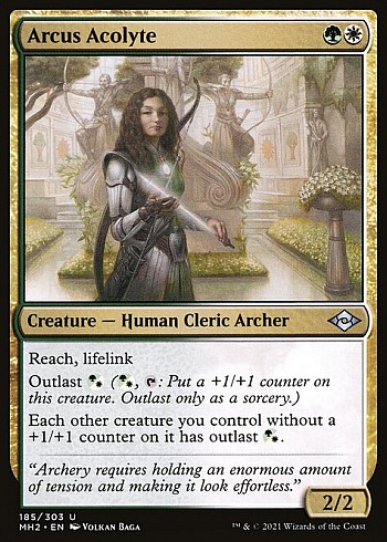 Arcus Acolyte