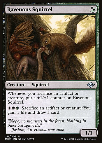 Ravenous Squirrel