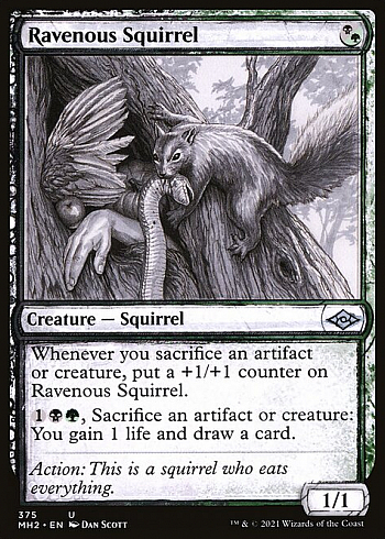 Ravenous Squirrel