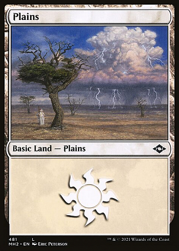 Plains