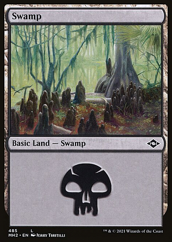 Swamp