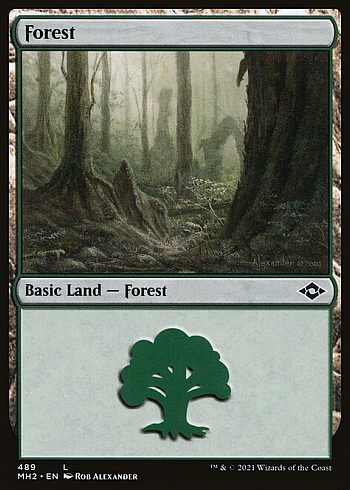 Forest