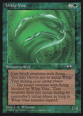 Whip Vine