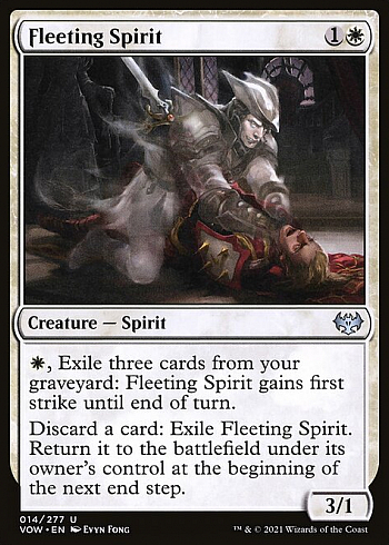 Fleeting Spirit