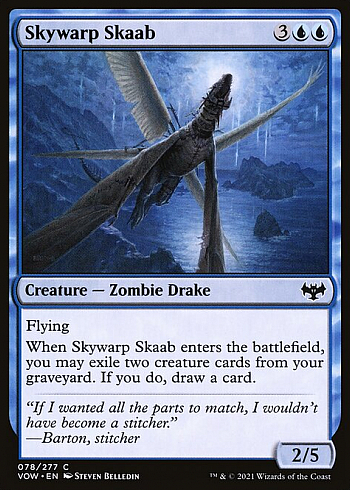 Skywarp Skaab