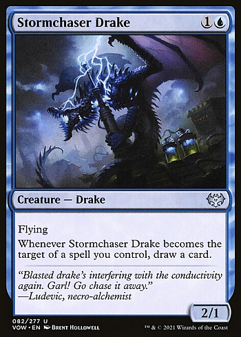 Stormchaser Drake