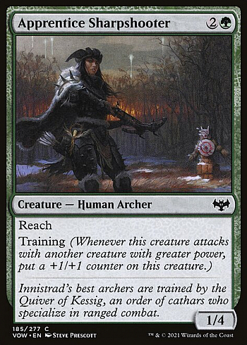 Apprentice Sharpshooter