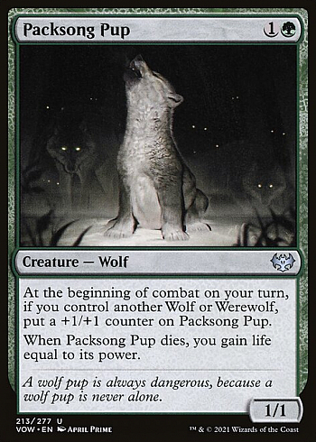 Packsong Pup