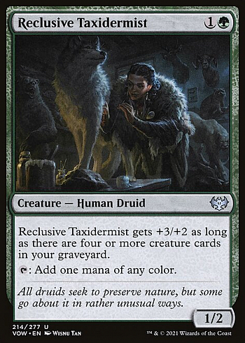 Reclusive Taxidermist