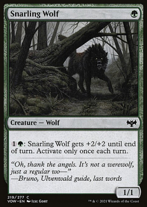 Snarling Wolf