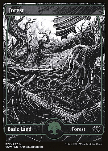 Forest