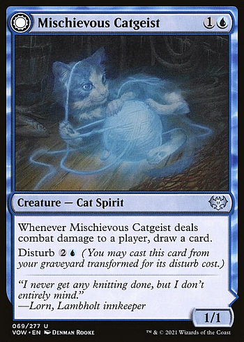 Mischievous Catgeist // Catlike Curiosity