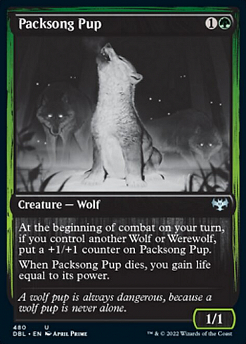 Packsong Pup