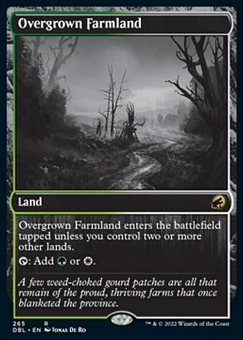 Overgrown Farmland