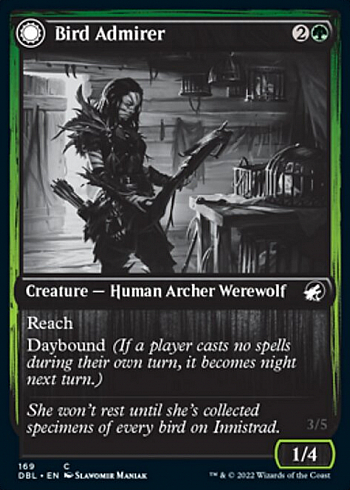 Bird Admirer // Wing Shredder