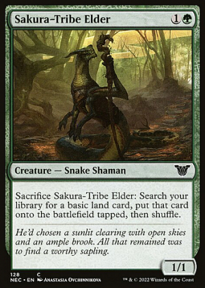 Sakura-Tribe Elder