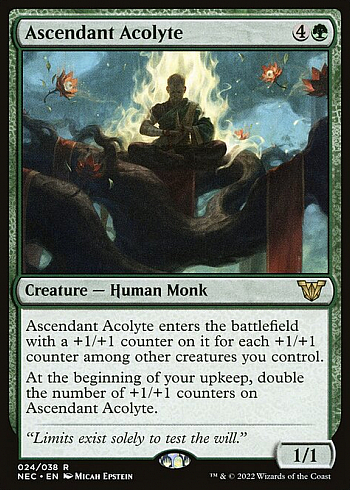 Ascendant Acolyte