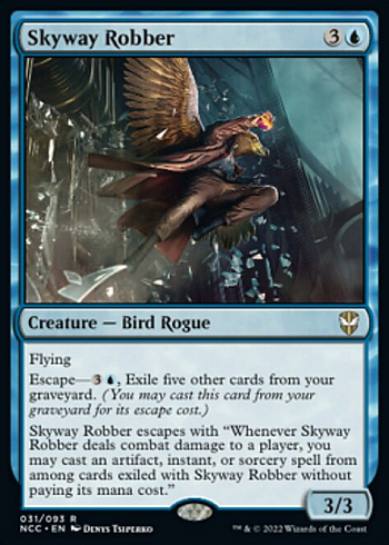 Skyway Robber