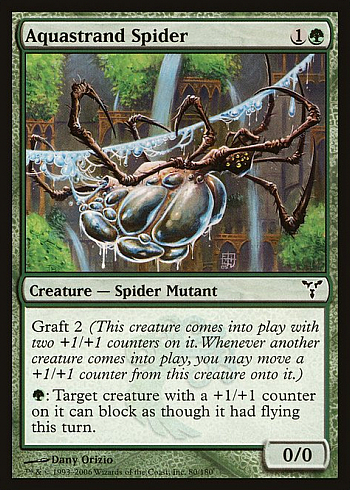 Aquastrand Spider