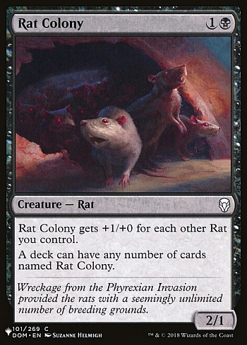 Rat Colony