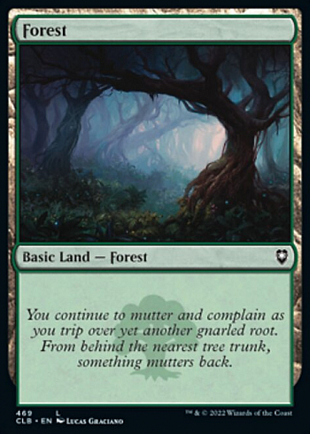 Forest