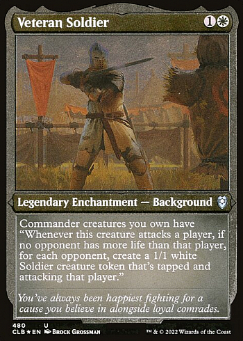 Veteran Soldier