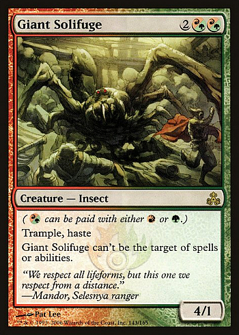Giant Solifuge