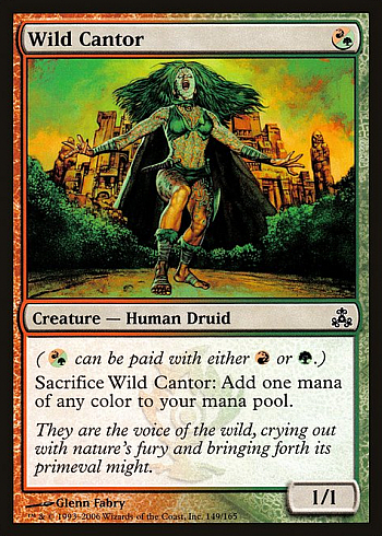 Wild Cantor