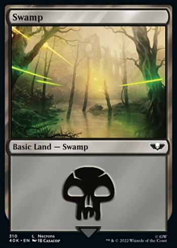 Swamp