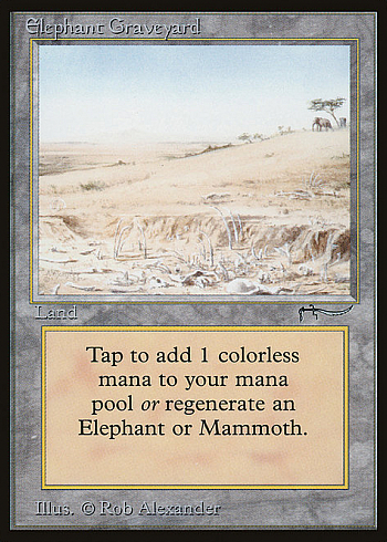 Elephant Graveyard