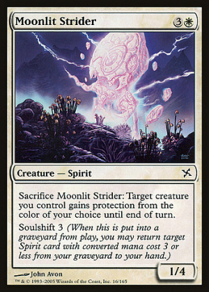 Moonlit Strider