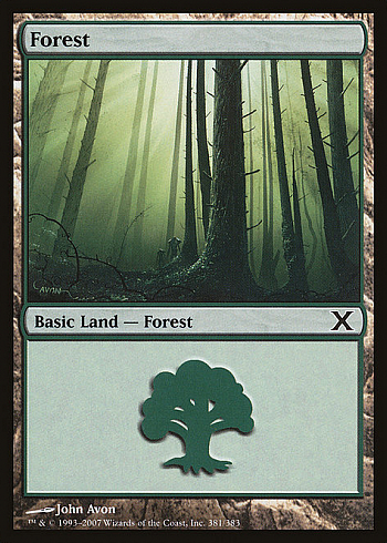 Forest