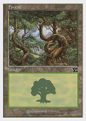 Forest