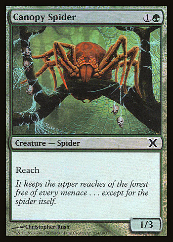 Canopy Spider