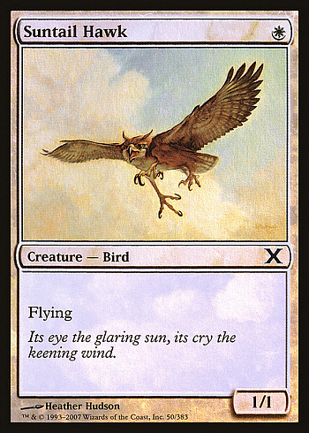Suntail Hawk
